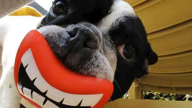 Русская поп музыка. Классное видео. Обожаю!