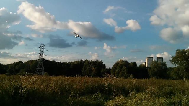 Олдскул RC авиамодель на раритетном МК-17