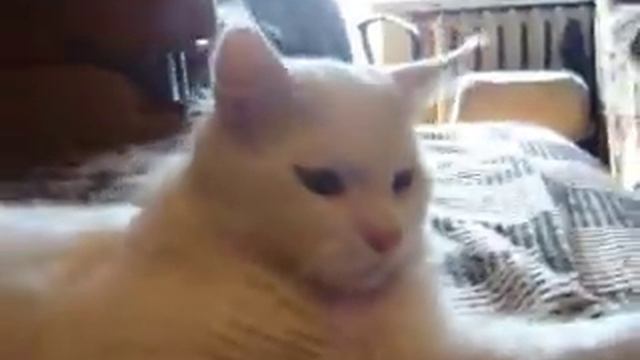 Борис Бороро