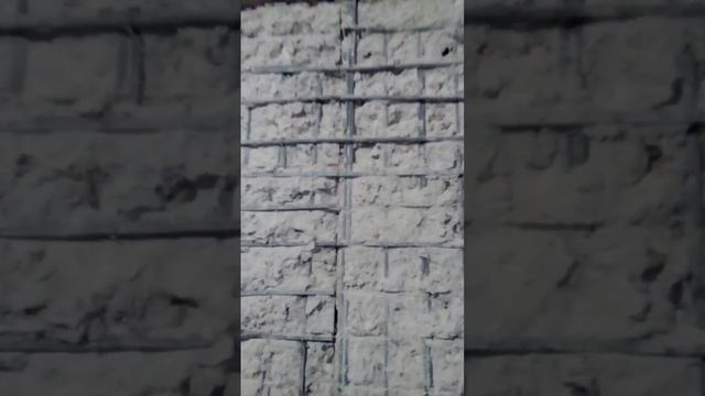 сюрприз в кирпичной стене )