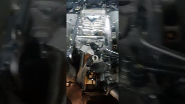 Автоэпопея на дороге