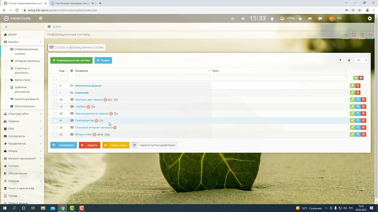 Инфосистема в HostCMS