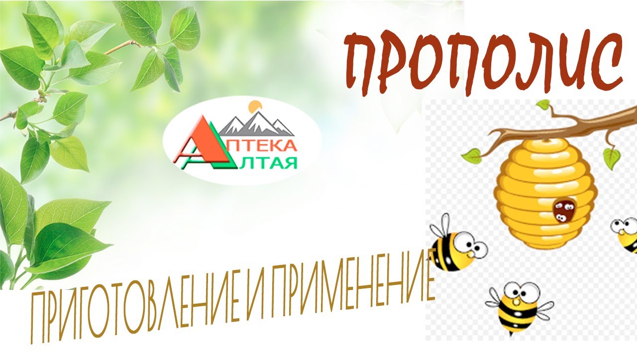 Прополис. Целебные свойства, приготовление и применение.