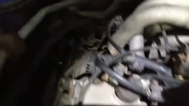 Арт-Студия Дома