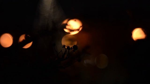 Nikon D3100 Grainy Photos