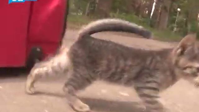 Искусство тайной магии