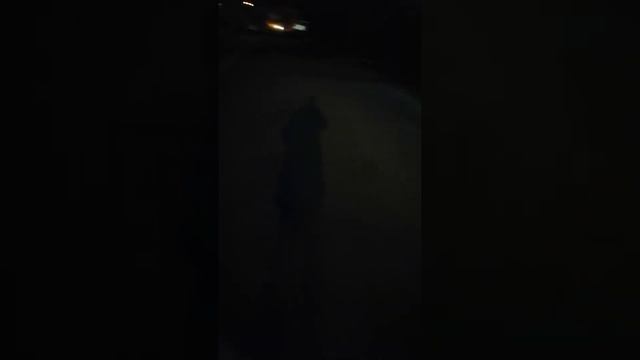 Едем уже Домой на автобусе№1 (сон от 28 ноября 2021)