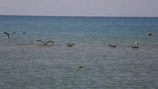 На Черное Море на Ямахе YBR