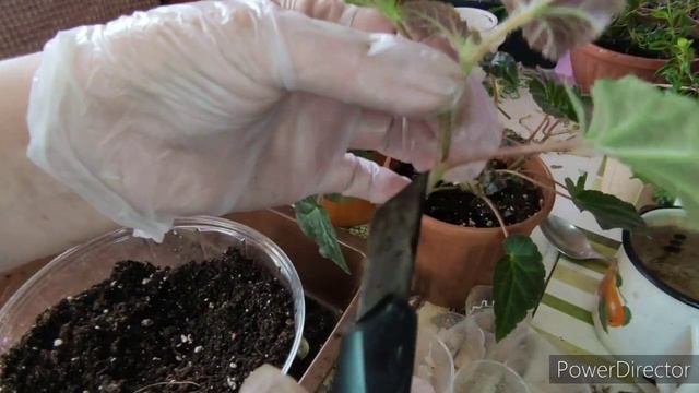 3ff841d7882741cc4db64f4b5d43aea8