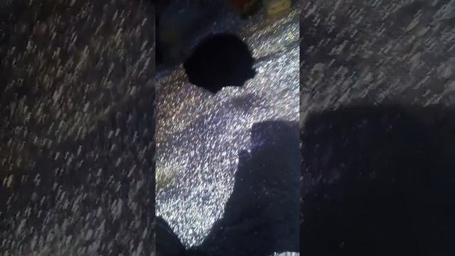 Рыбалка на речке цимла ночь