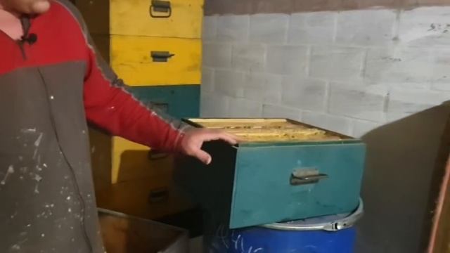 Продам фацелию, нуклеусы, улья. Как выглядит забрусный воск.