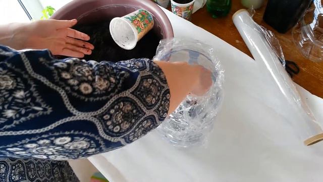 ЭКСПЕРИМЕНТ. РАННИЕ ТОМАТЫ В КАНИСТРЕ