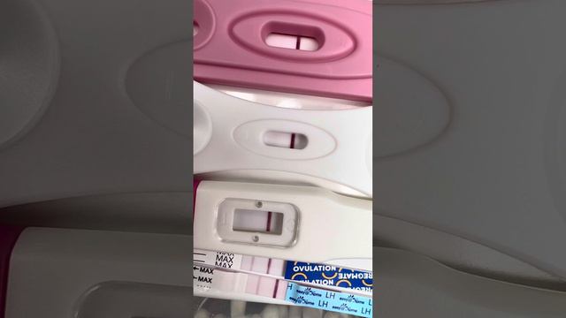 Line Progression With Cheepies 10 DPO // Baby #1 // Cyle #4 //