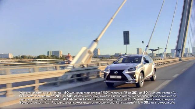 Lexus NX Стольник (6/76)