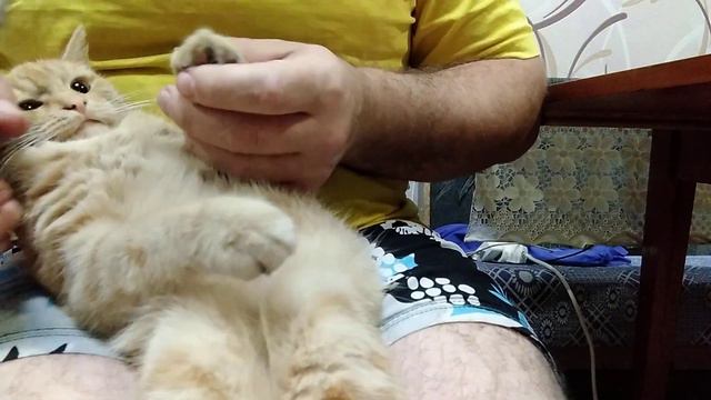 38f9fc8209691c71fa9fbc2c0620b2e1