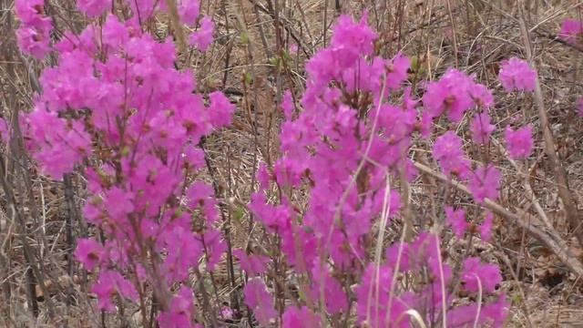 Cbef208d1bdd1b3638341bb5635b1c0d