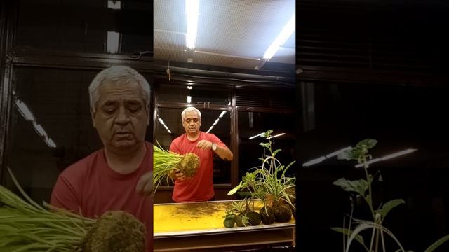 6b458e6edc3125bd686902d1a74517f6