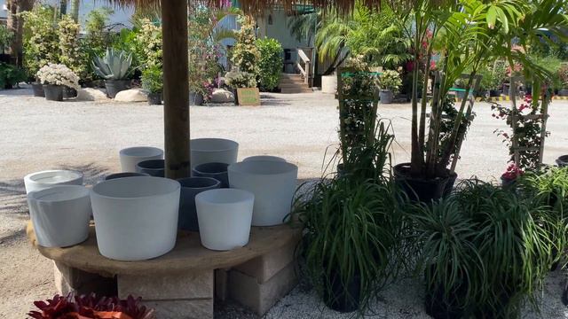 Plant Shop Tour - Delray Garden Center