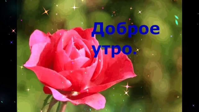 Нежного  утра     Ольга  Комарова     1000лет