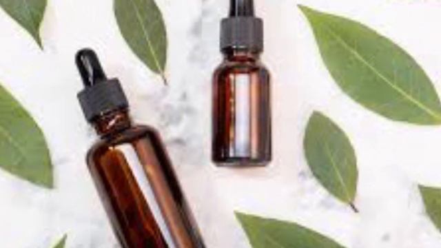 CHÁ De LOURO Serve Pra Que? Quais Os BENEFÍCIOS?