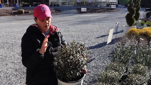 Nursery Tour & Our Season Opener | Gardening With Creekside