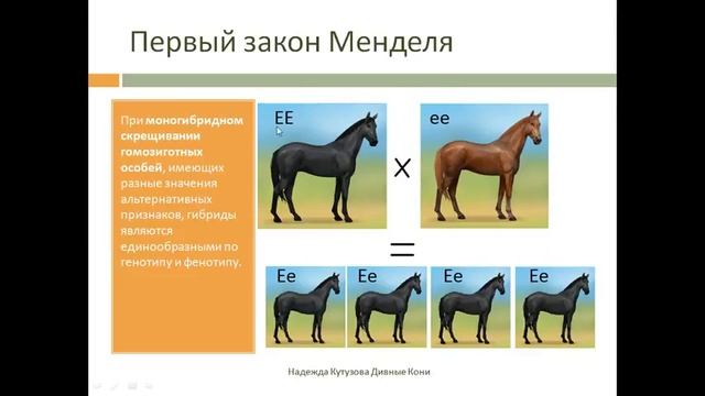 Прямая трансляция Надежды Кутузовой Основы генетики