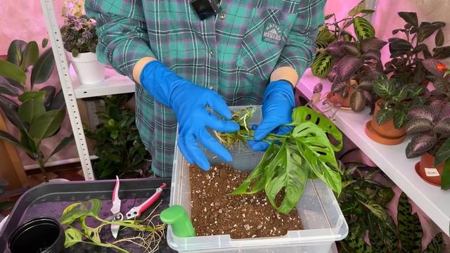 8455132cc0231db9756b411194fe23a0