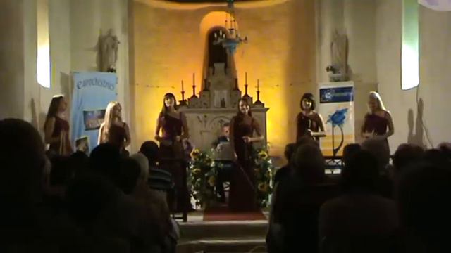 Красноярский анс. скр. VIVALINI Saint-Leger