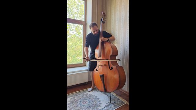 Контрабас №103