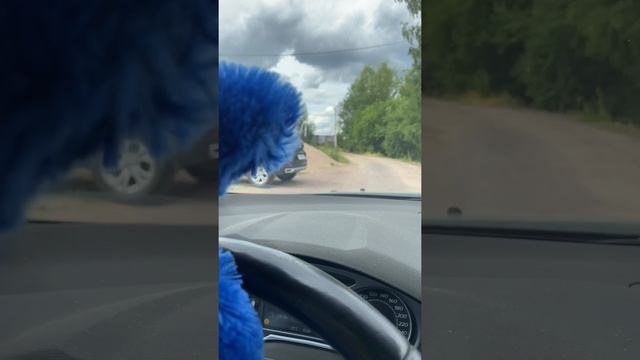 Хагги забыл Кисси ?♀️?