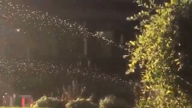 D8f776f4e0cbebed4bab3e0a2ac56b5d