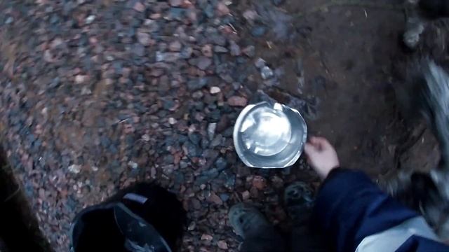 Рыба для волков, как валерьянка для котов. Удивительные повадки волков