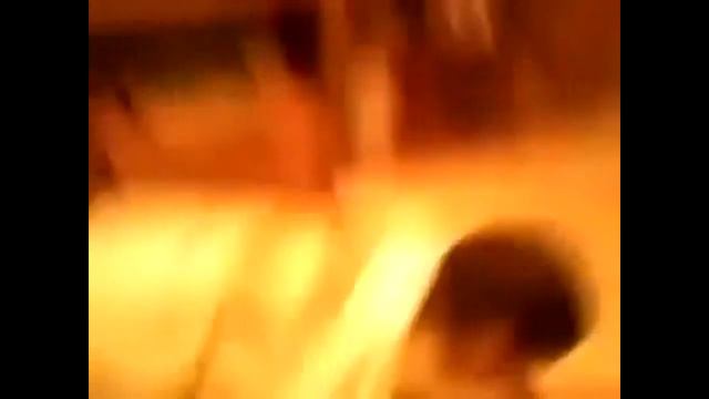 Приколы. Самое смешное видео. Смешные животные. 2017 Апрель №148