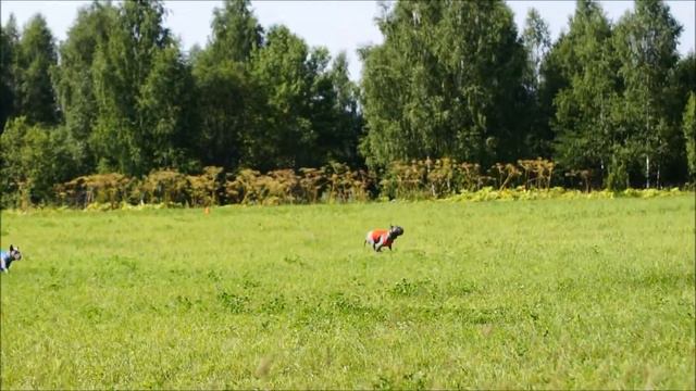 656c54da29ad509c8ad72a2fc1ffa29a