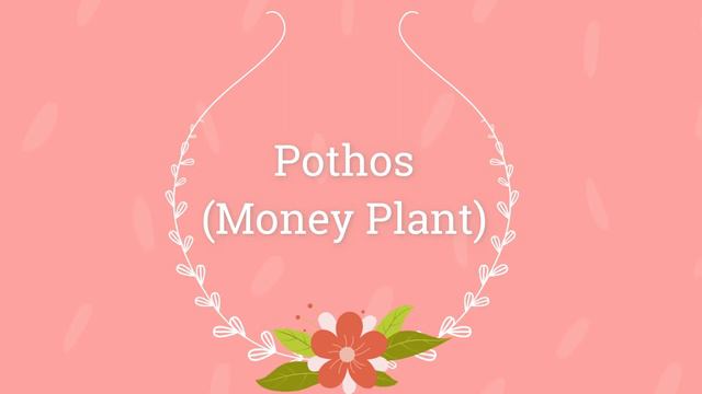 Eae5cfa6517fe842f5da6babdf844f49