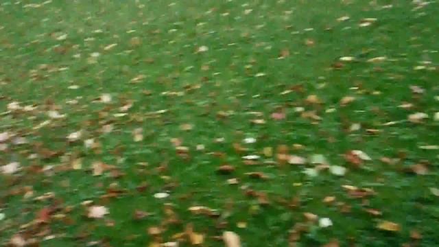 Осень в парке Горького с Жади! 2ч.(2). 19 сентября 2013г. Минск. Беларусь