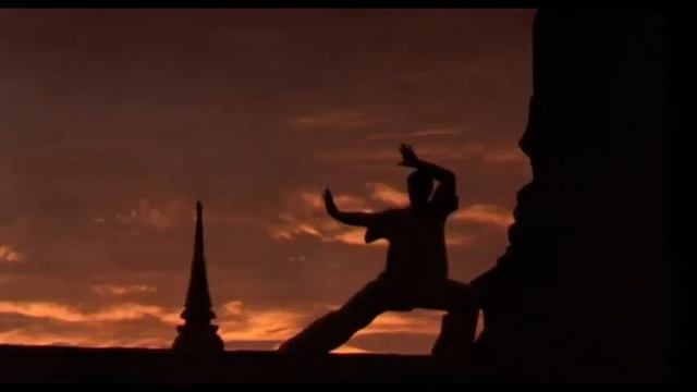 Постеры к Кикбоксеру