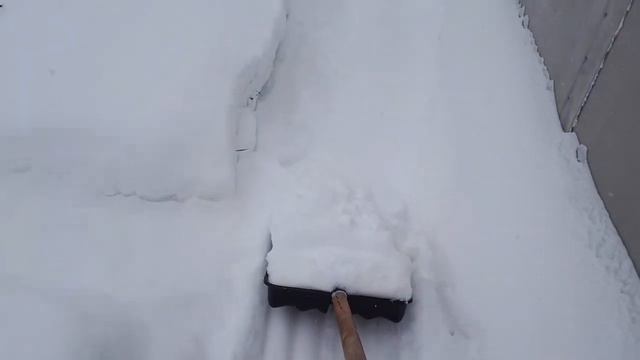 С первым днем зимы,  Вас друзья!!! 🌲🌲🌲