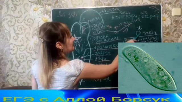 12a07a2564fe67e5f7e92ab702f83701