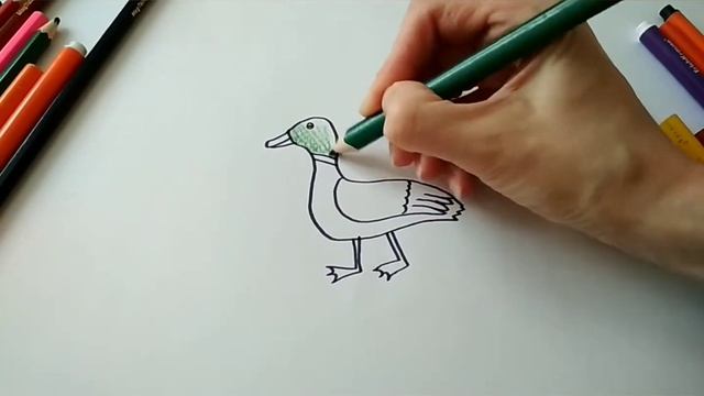 Рисуем УТКУ детям. Учимся рисовать.