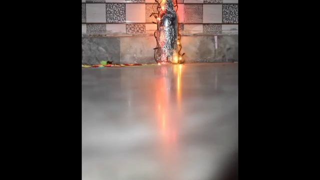 Nikon D3500 An Entry Level Dslr Shots With Kit Lens 18-55 Mm