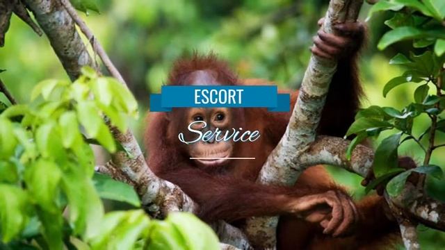 MAGIX Photostory 2018 Deluxe Steam Edition