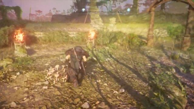 Assassin's Creed Valhalla - Прохождение часть 96 (Мухомор Грентебридшир)