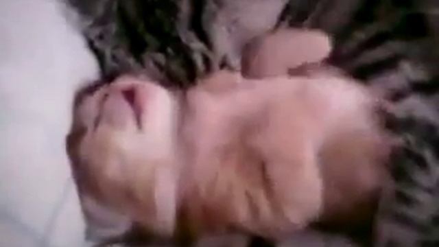 Мать есть мать