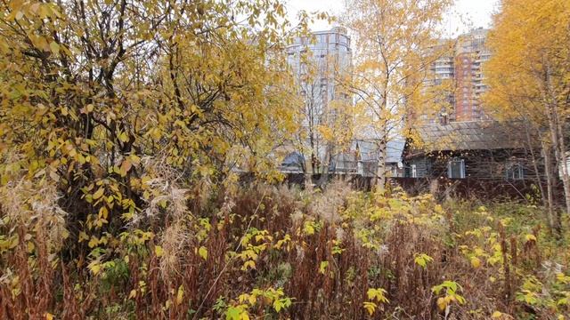 4851533 Учебная