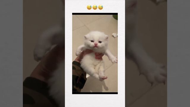 D8a8fd7ba65b402683ca6e8175c16c08