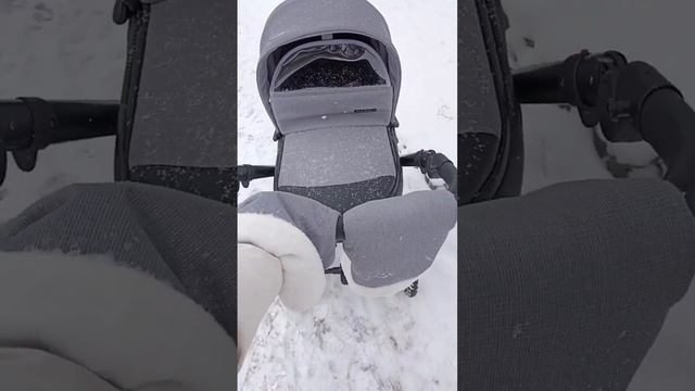 коляска пеппи зум (Peppy Zoom)