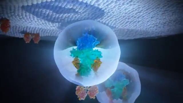 Botox Лікування дистонії м'язів