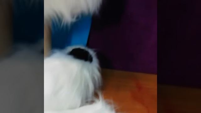 Ростовая кукла Белый зайчик