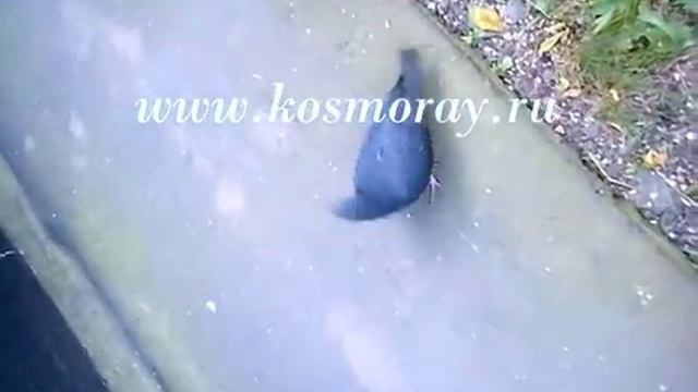 1c840ca47b109791c709fc024700a0b8